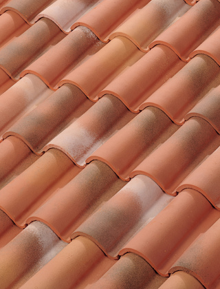 Pastel Occitan